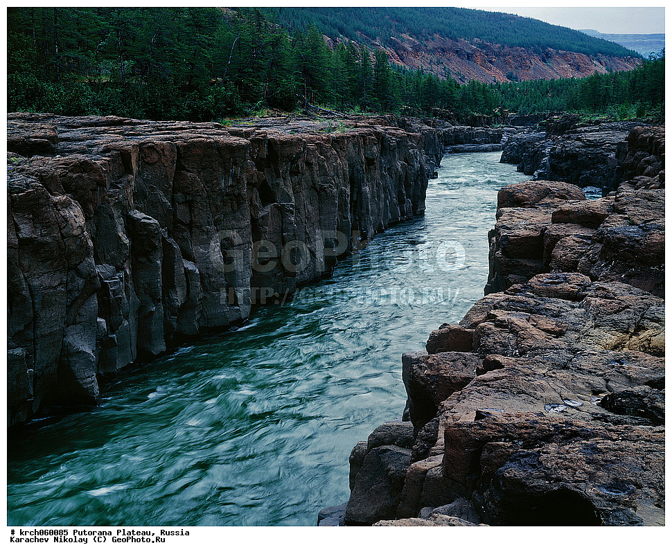 ������������ ����, ����� ��������, ��������������� �����������