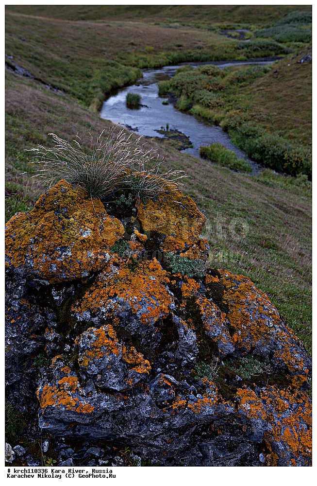 �������� ���������� �����, �����-�������� ���������� �����, ���������� ����, ���� ����, ������