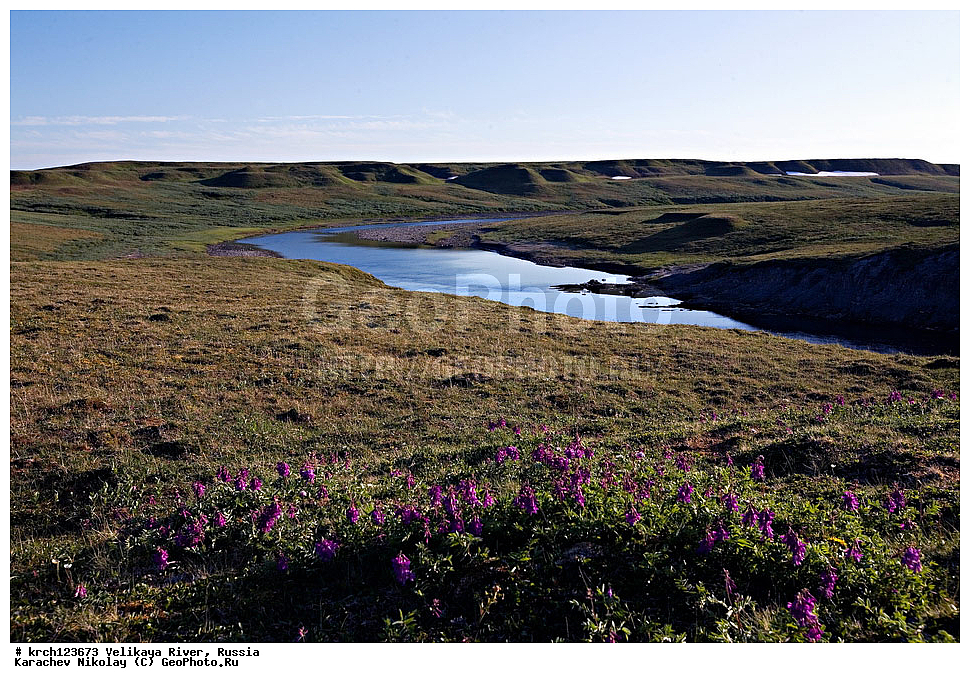 �������� ���������� �����, ���� �������, ������ �������� ���, ������, ������������� �������