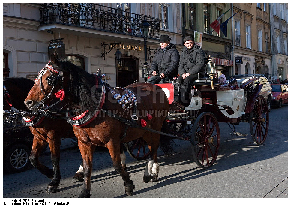 ������, ������, �����������