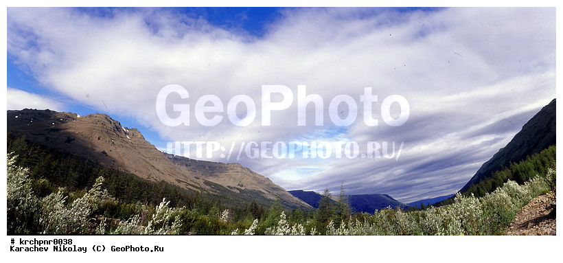 �����, ����� ��������, ��������, ������