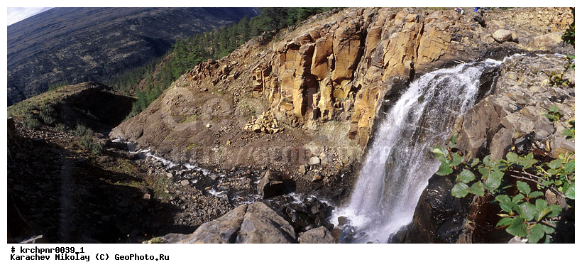 �����, ����� ��������, ��������, ������, �������, �����, ����, ������� ����, �������, ����