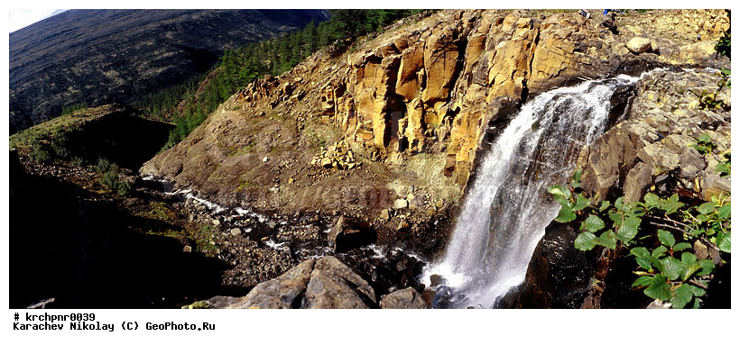 �����, ����� ��������, ��������, ������