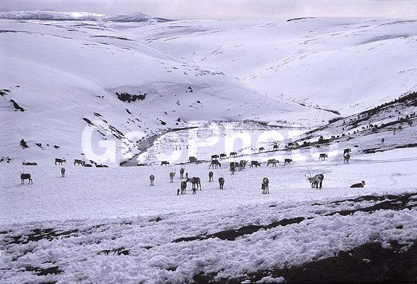 ��������, �������, �������, ��������, �����, ����, �����