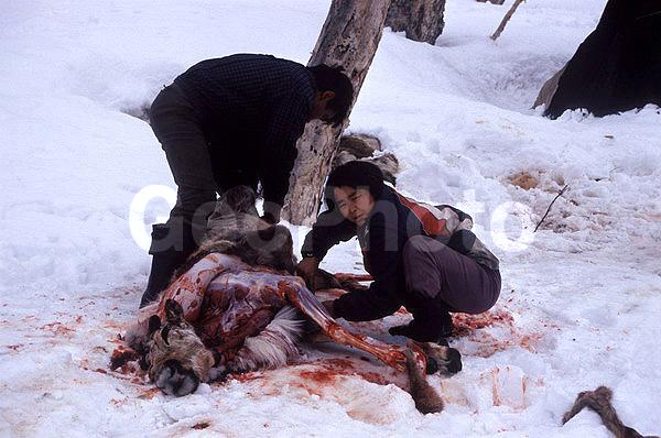 ��������, �������, �������, ��������, �����, ����, �����