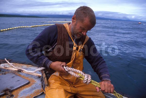 ��������, ����, ����, ������, �������