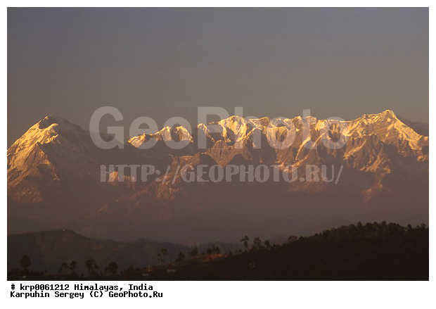 �������, ����, ������� ������