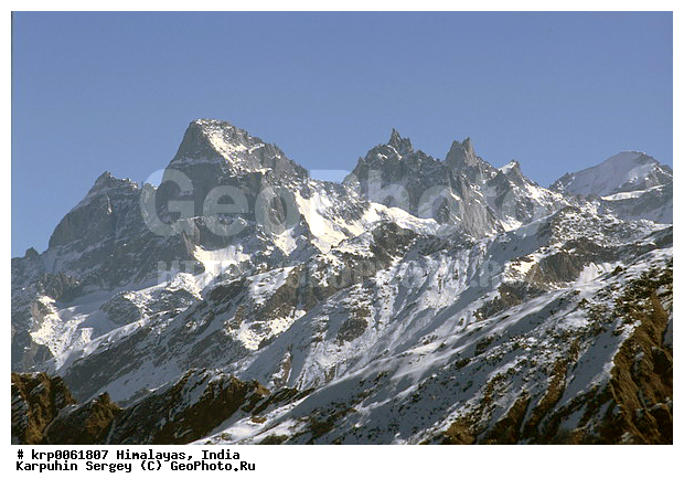 �������, ����, ������� ������