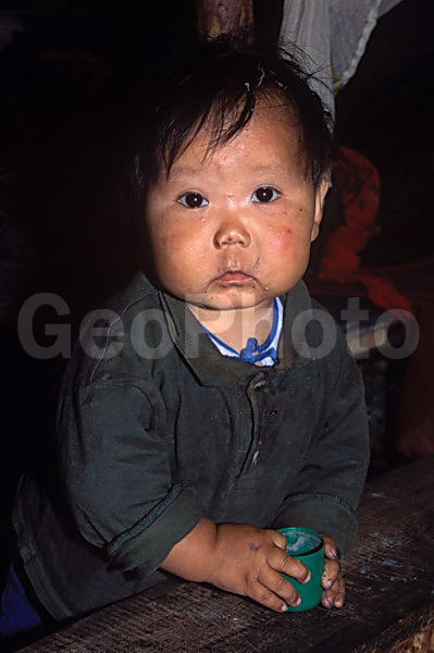 ������, ����������, ������, ����������� ��������, ������