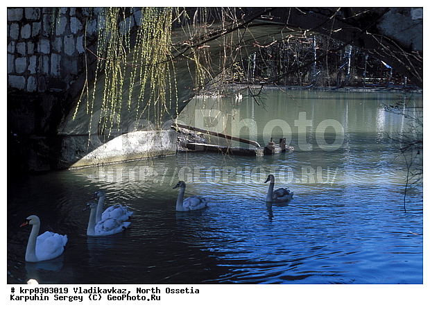 �����������, ������������, �����, �����