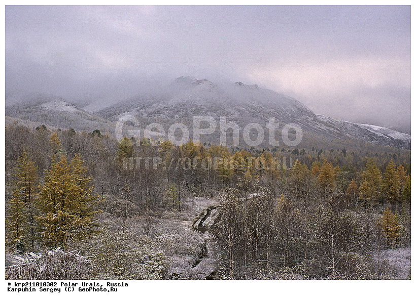 �������� ����, ���������� ����