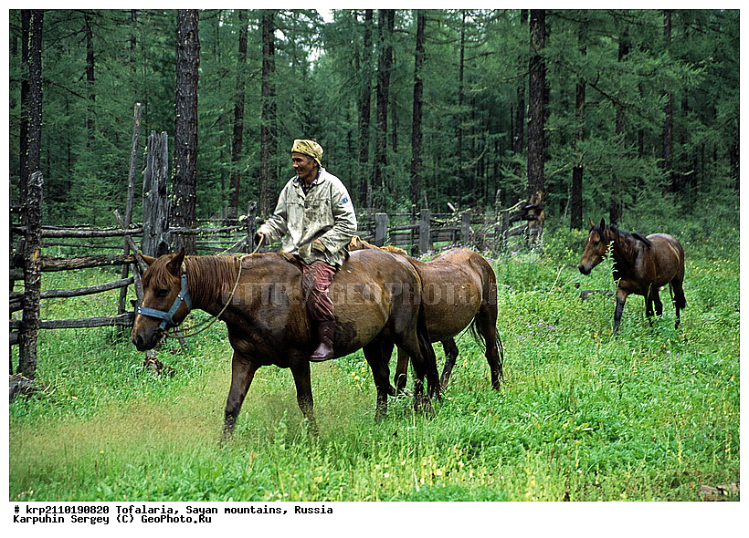 ��������� �������, ������������� �����, ������, ������, ���������, ������ ���� ������, ����, ���, ������, ��������, �����, �������