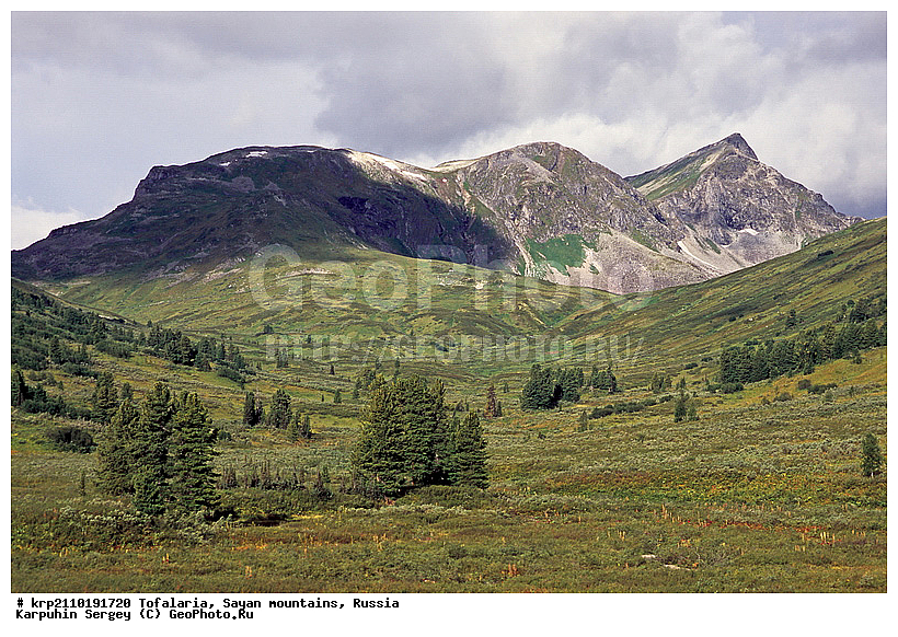 ��������� �������, ������������� �����, ������, ������, ���������, ����, �������, ������ ���� ������ �����, ��������, ������, �����