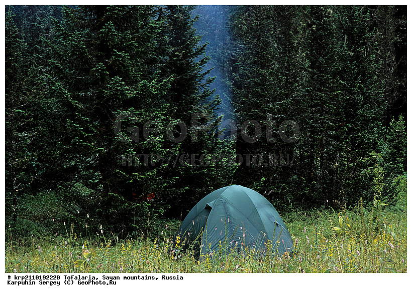 ������������ ����, ������, ������, ���������, ���, ������ ���� ��������, �������, �����