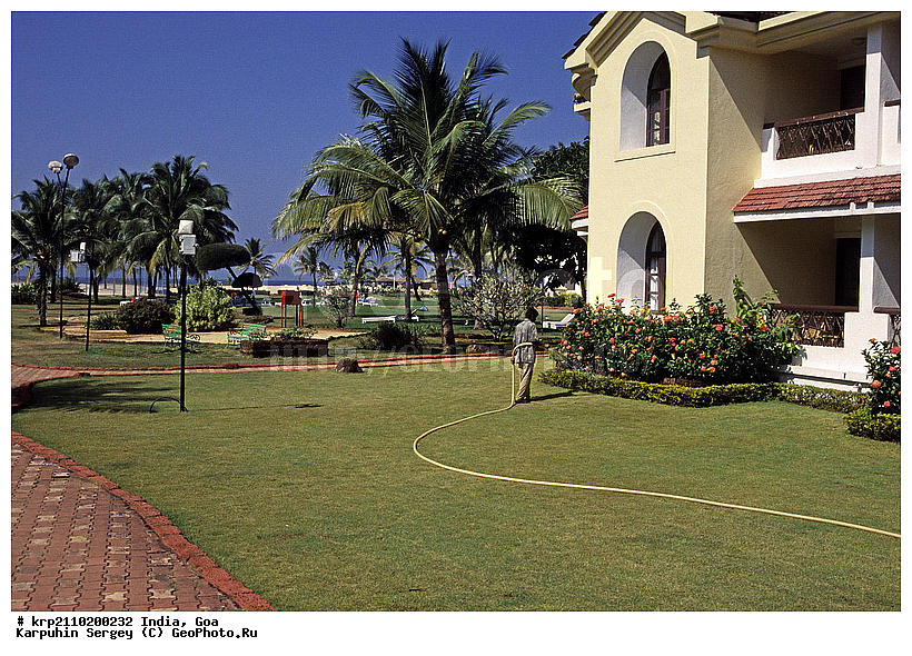 ���, �����, ������