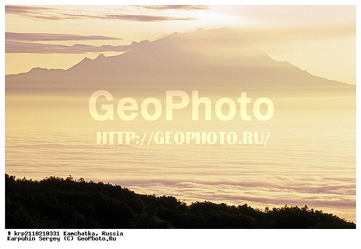 ��������, ������, ������, ������, ����, ���, �������, ���������, ��������, ����������, ������, �������, �����