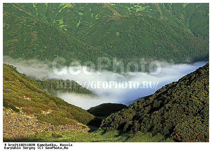 ��������, ������, ����, ���������, ��������, ����, ������, ����, �����