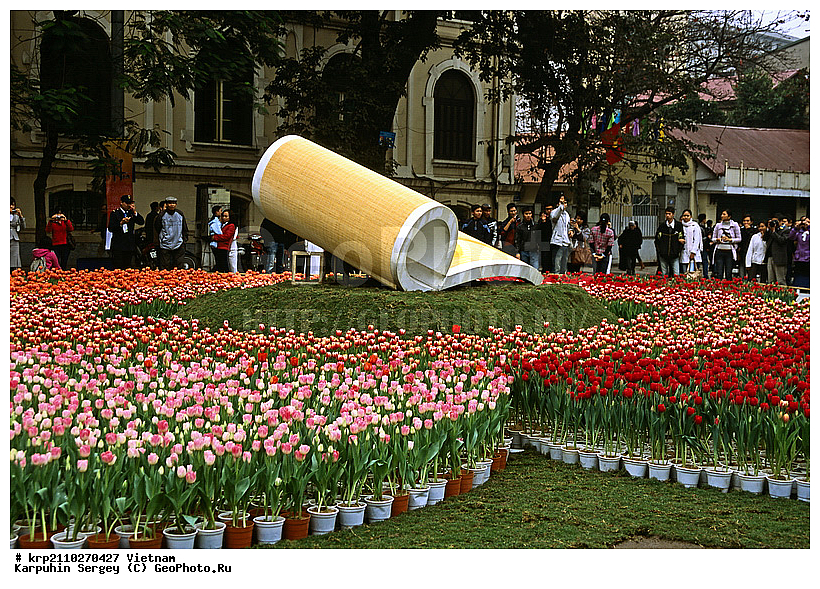 ����, �������, �����, ����, ����, ��������, �����, �����