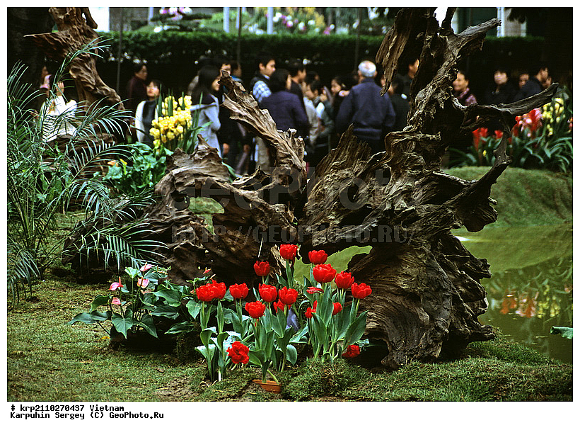 ����, �������, �����, ����, ������, ��������, �����