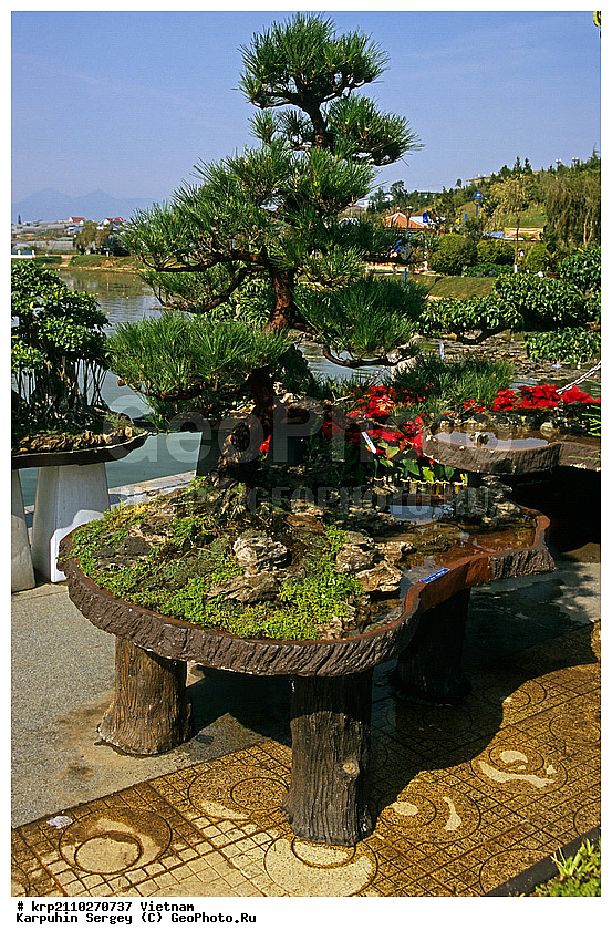 ����, �������, ������, ������, ����