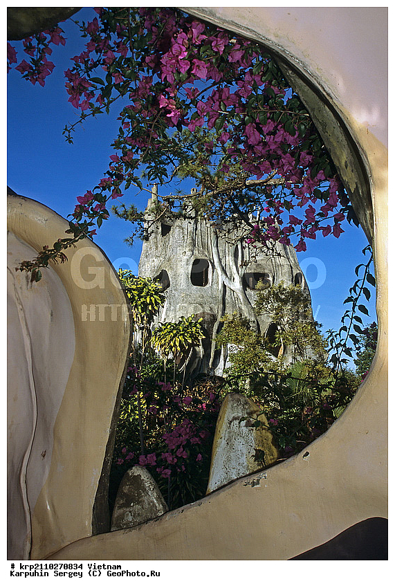 Crazy House, ����, �������, ����