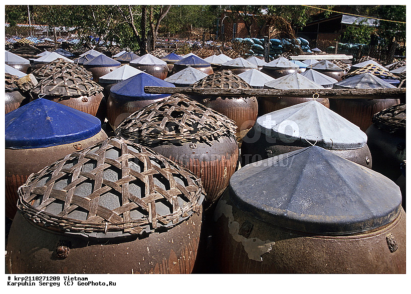 ����, �������, ����, ������ ����, ����