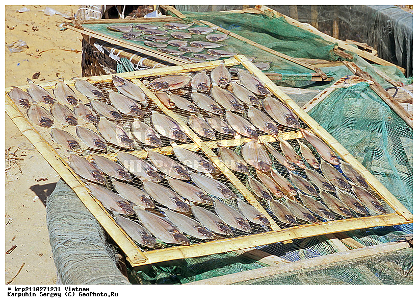 ����, �������, �����, ����, ��������, ����