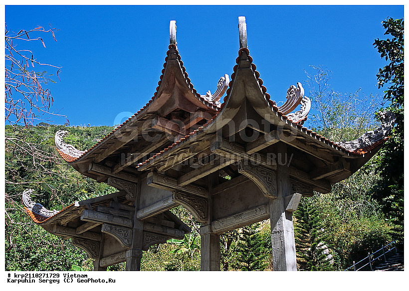 ����, �������, �������, ����