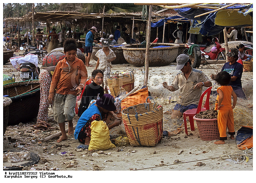 ����, �������, �����, ����, ����, ������, ����