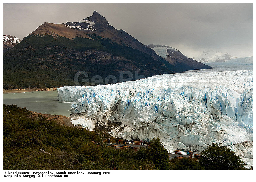 ���������, ������������ ����, ��� ���������,  ������ ������, ���������, ����� �������, ����, �����, ������