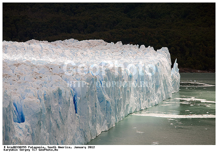 ���������, ������������ ����, ��� ���������,  ������ ������, ���������, ����� �������, ������, �����