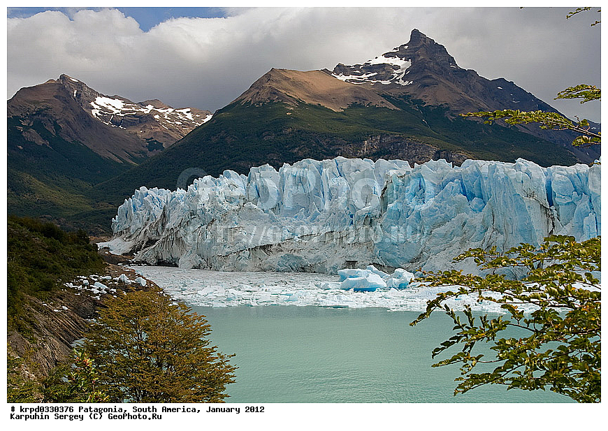 ���������, ������������ ����, ��� ���������,  ������ ������, ���������, ����� �������, ������, �����, ����