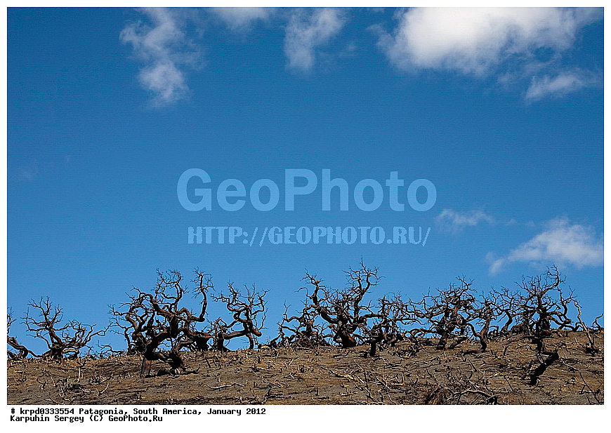 ����, ������������ ����, ������ ���� �����, ���������, ����� �������, �����, �������, �������