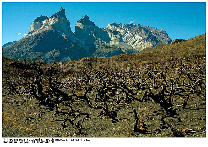 ����, ������������ ����, ������ ���� �����, ������ ������� ���� �����, ���������, ����� �������, ���, ���������, ����