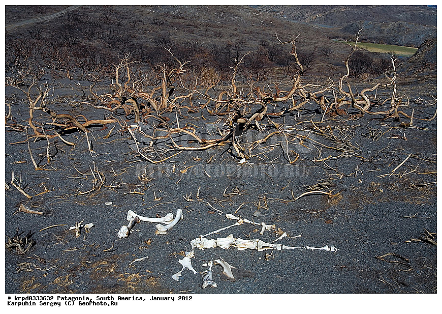 ����, ������������ ����, ������ ���� �����, ���������, ����� �������, �����, ���������, �����