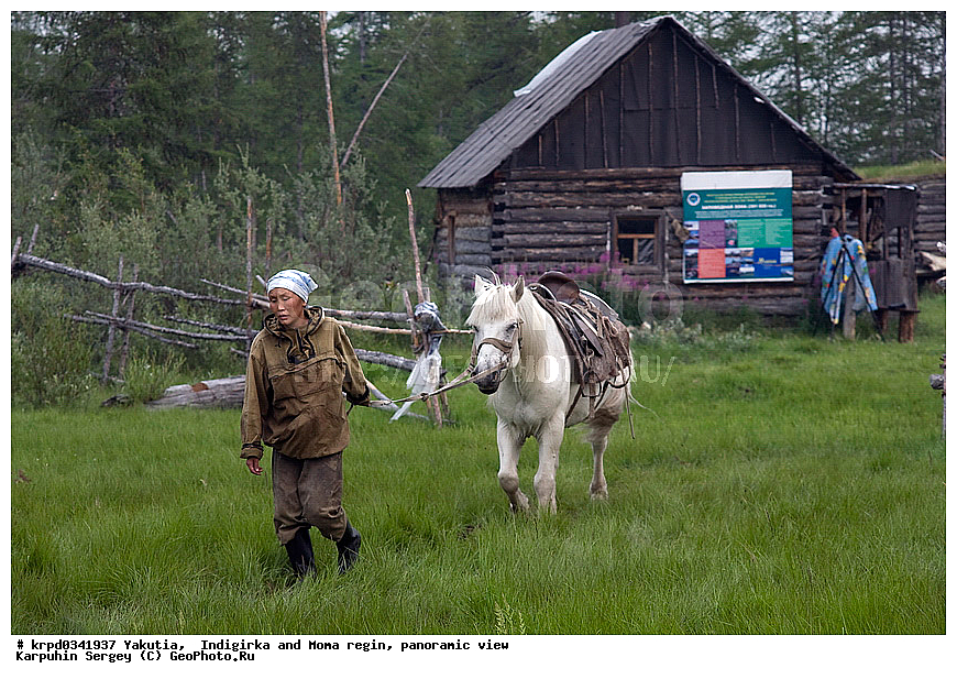 ������, ������, ���������� ����, ������� �����, ���� ����, ������� ������� ������, ����� �����, �����, ������, �������, ������, ���������, ���, ������, ��������, ��������, �������������, �������������, �����, �����, XYZ, ���������, Equidae, �������� ������, Equus ferus caballus