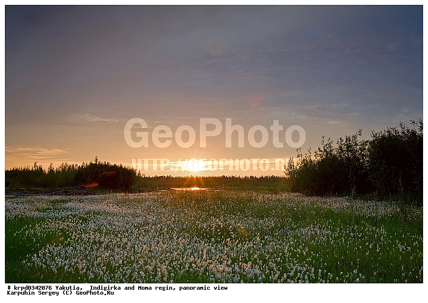 ������, ������, ���������� ����, ������� �����, ���� ����, ������ ���-����, ������, ������, �����, ������