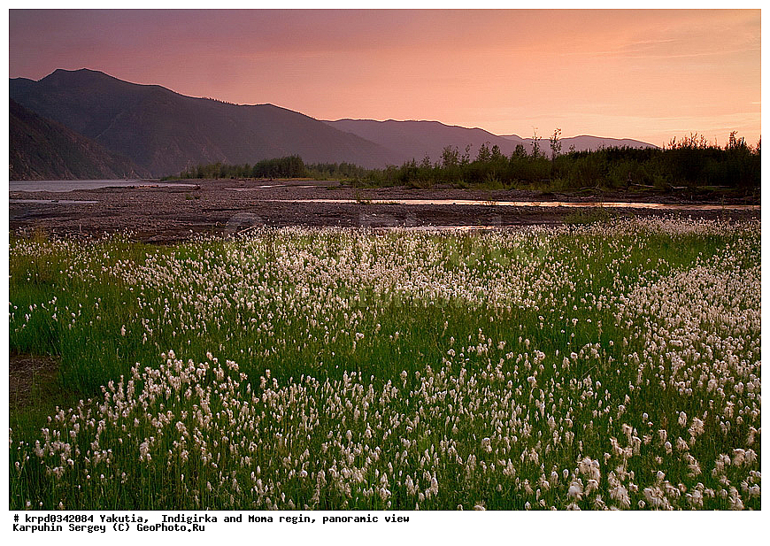 ������, ������, ���������� ����, ������� �����, ���� ����, ������ ���-����, ������, ������, �����, ����