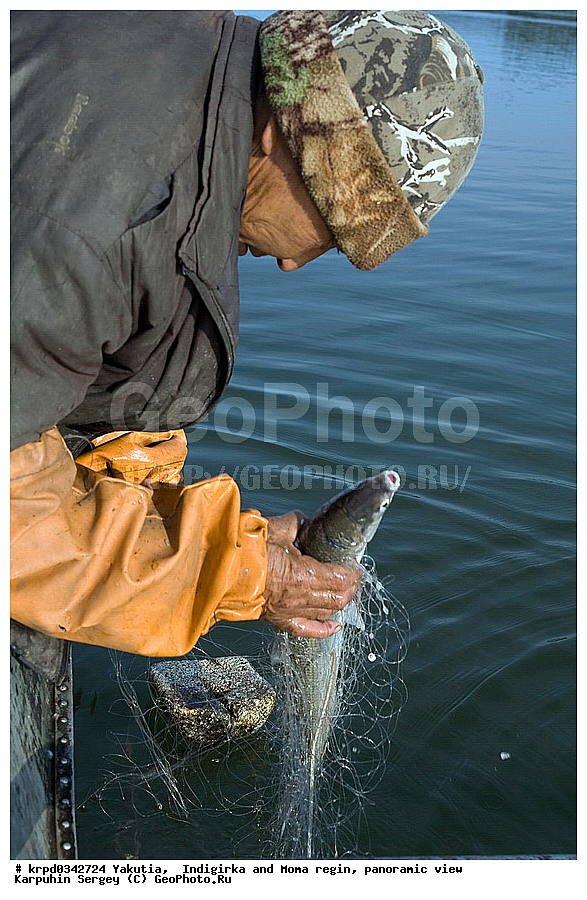 ������, ������, ���������� ����, ������� �����, ���� ��������� � ����������� ���������� ���� ���������, �����, �������, ����, �����, ����, ����