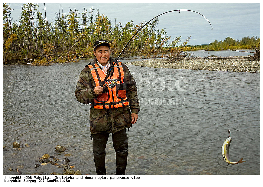 ������, ������, ���������� ����, ������� �����, ���� ����, ������ ������, ����, ���, �����, �����, ����, ������