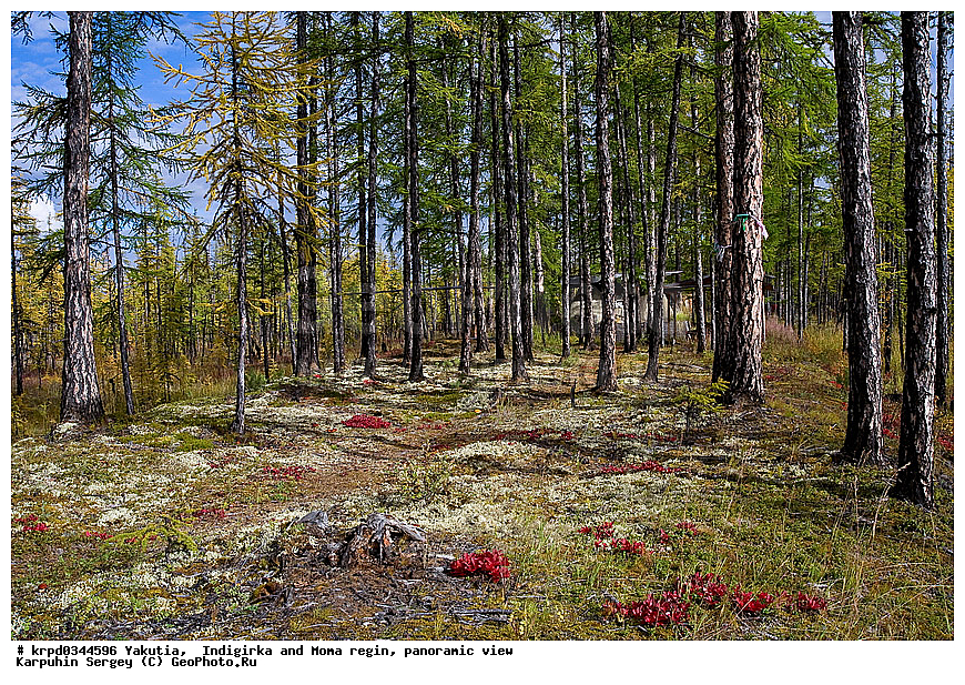 ������, ������, ���������� ����, ������� �����, ���� ����, ������ ������, ���, �����, �����