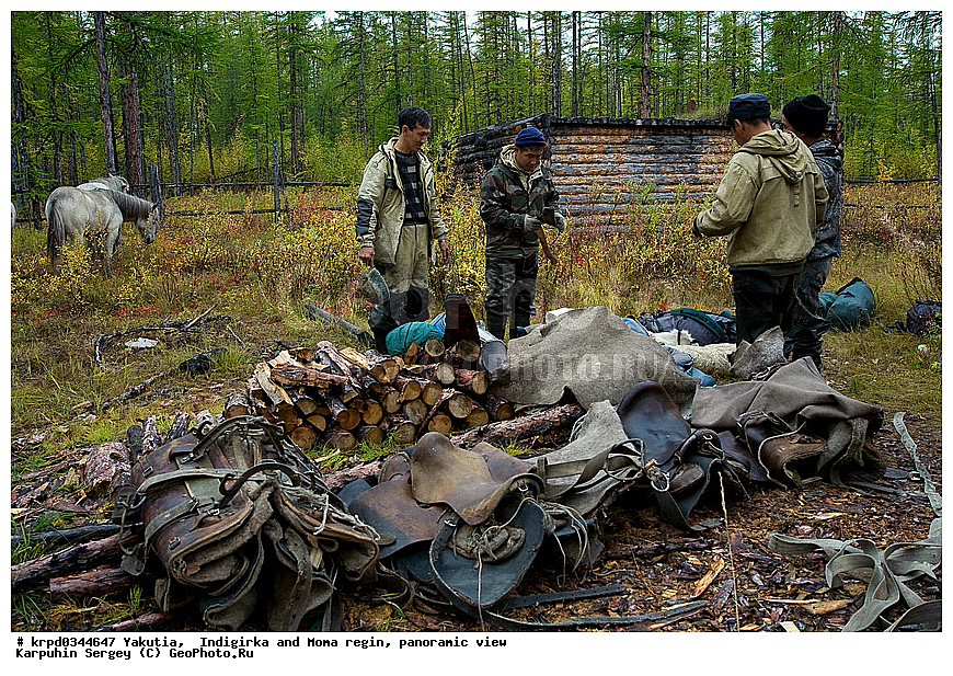 ������, ������, ���������� ����, ������� �����, ���� ����, ������ ������, ���, �����, ���, ����, ������, ����, ����