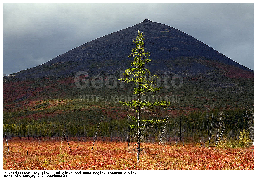 ������, ������, ���������� ����, ������� �����, ������� ������, ������ ���� ������-������, ����, �����, ������, �����������