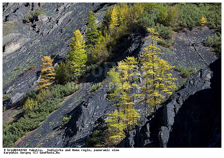 ������, ������, ���������� ����, ������� �����, ������� ������, ������ ���� ������-������, ����, �����, �������, �����