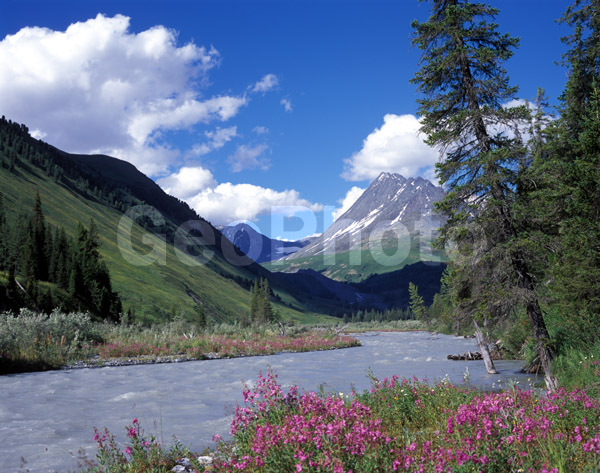 �����, ����, ������