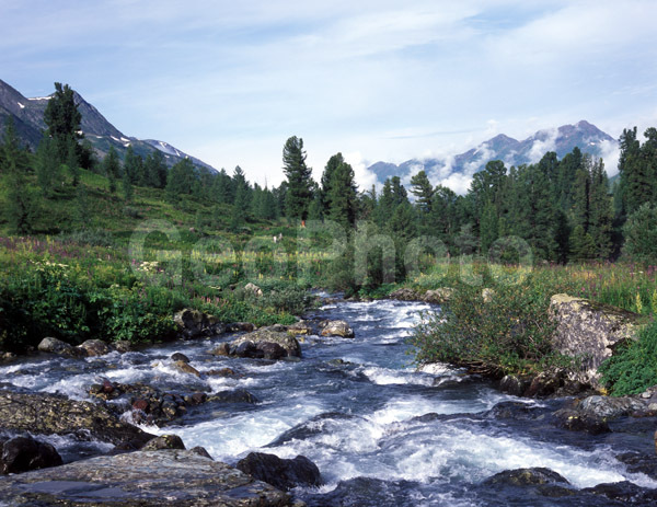 �����, ����, ������