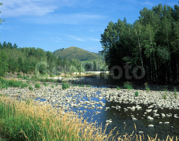 �����, ����, ������