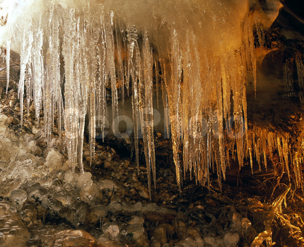 ������������� ���, �����, ������, ��� ������