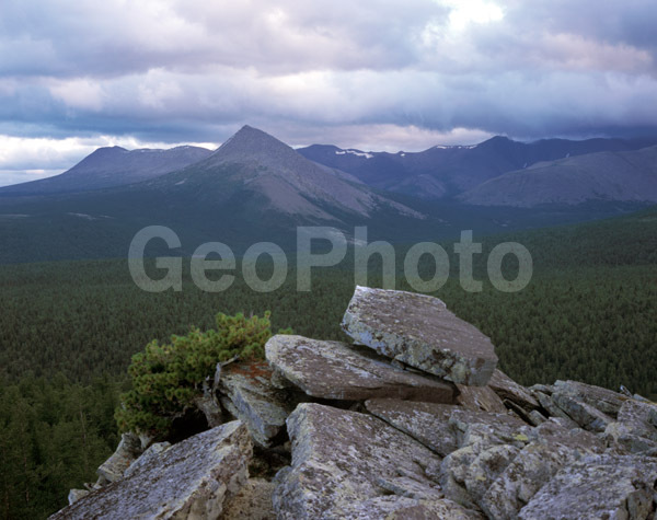 ����, ����, ����, ����