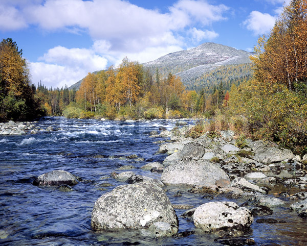 ����, ����, ����, ����